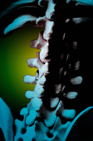 Chiropractic Treatment