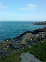 Greystones Chiropractic Clinic