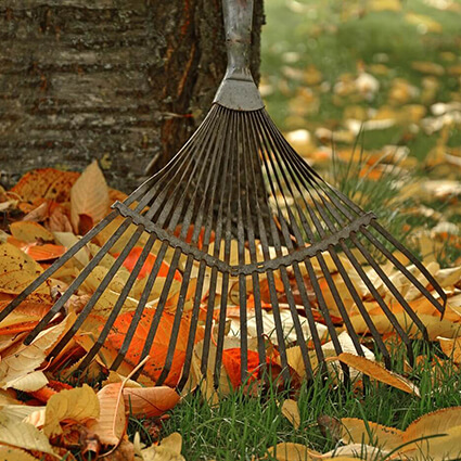 raking colorful leaves