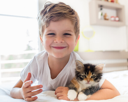 Little boy on bed with kitten