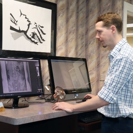 Dr Logan looking at xrays