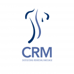 CRM Logo