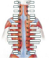 Normal Surfacr EMG Scan. Normal Surfacr