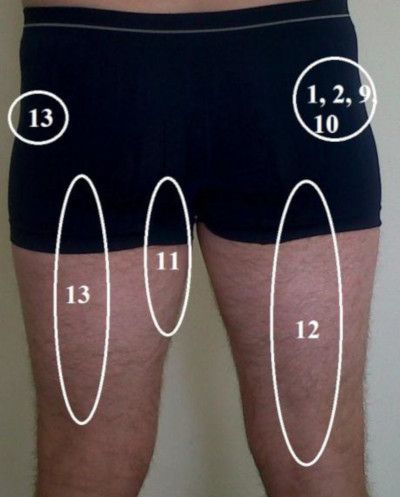 🆚What is the difference between hip and thigh  ? hip vs thigh  ?