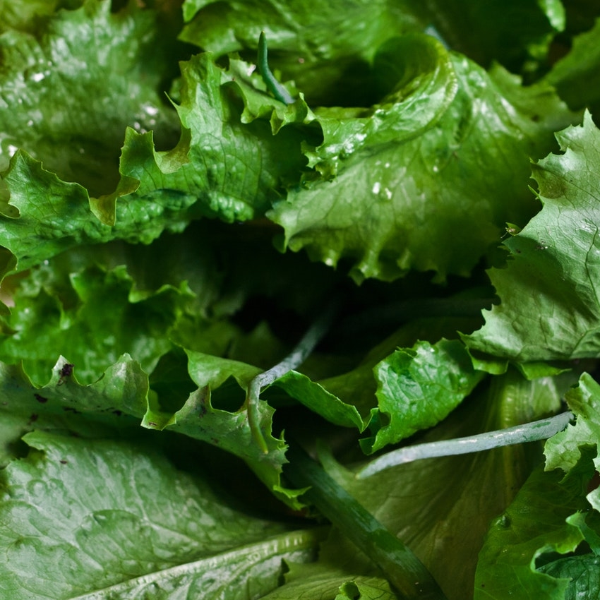 Leafy, Green Brain Food HealthGuard Wellness