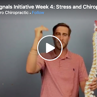Body Signals Week 4 video thumbnail
