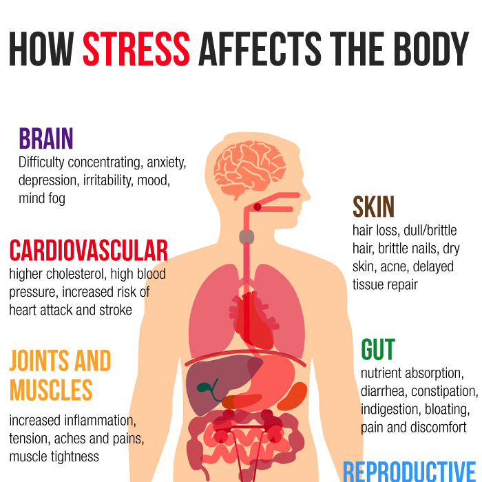 Physical Effects of Stress on the Body: What To Know