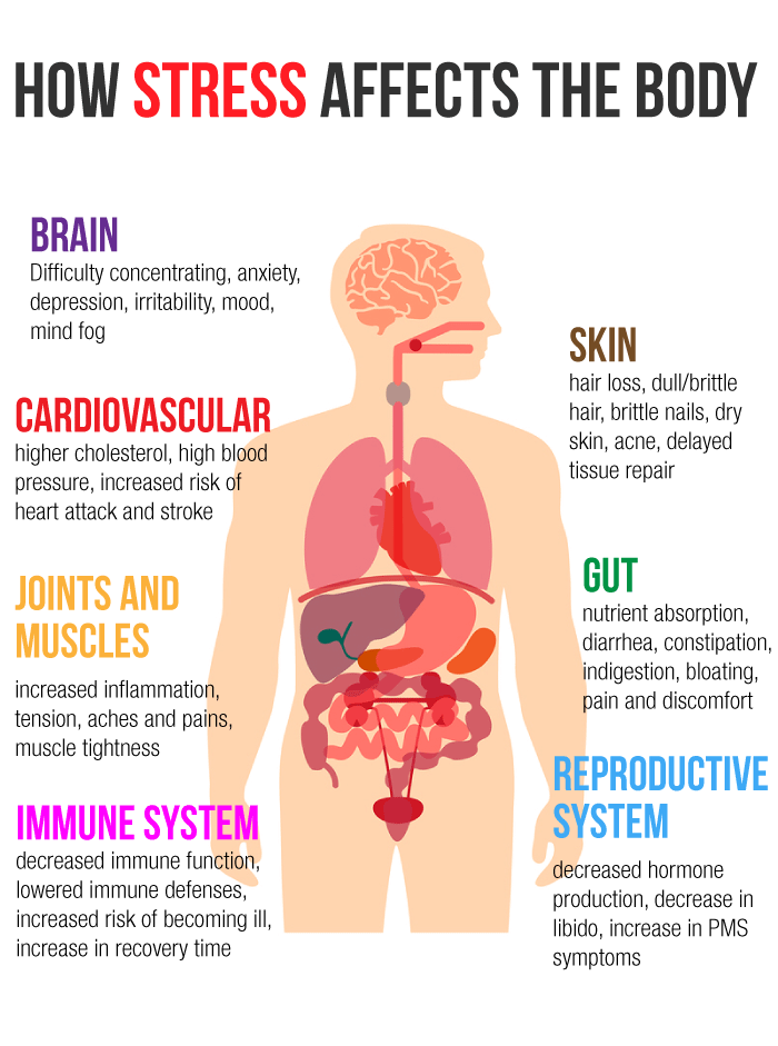 What Are The Social Effects Of Stress