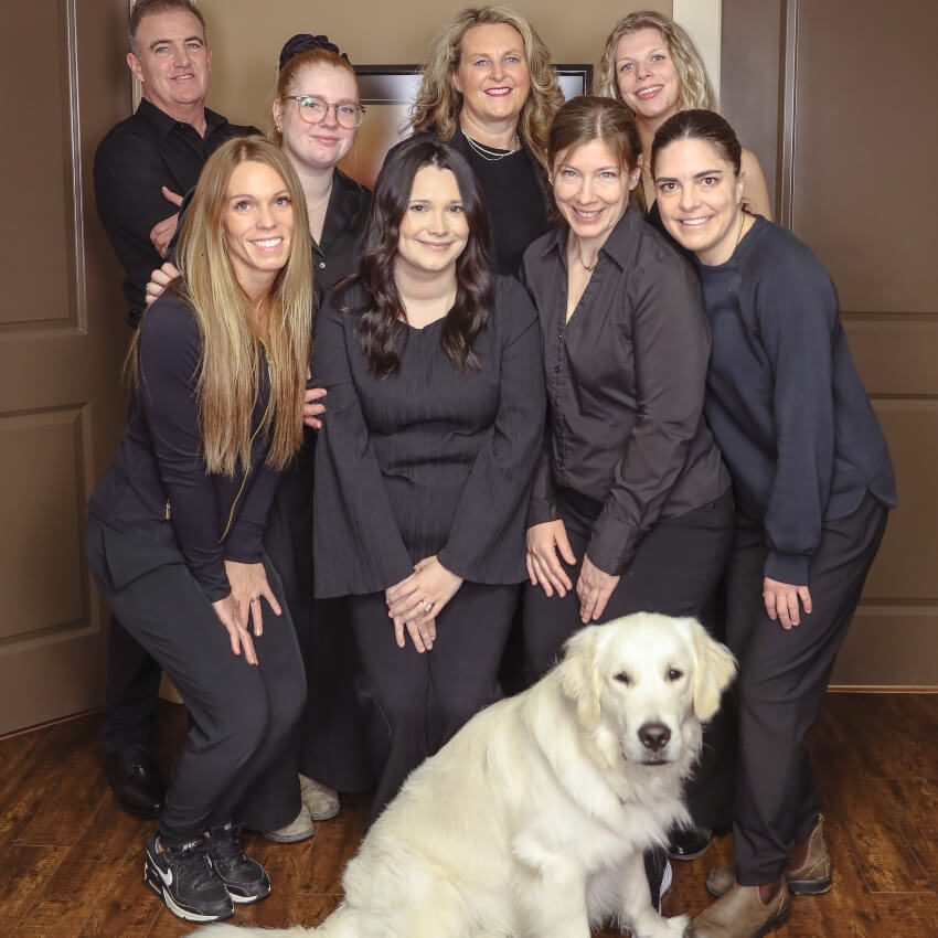 our office team