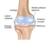 joint-relubricatioin