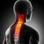 spine neck pain