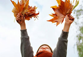 Holding leaves up the air