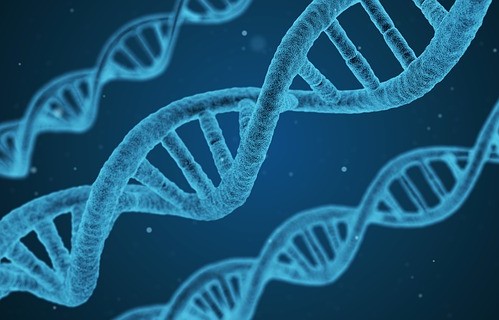 Image of DNA structures