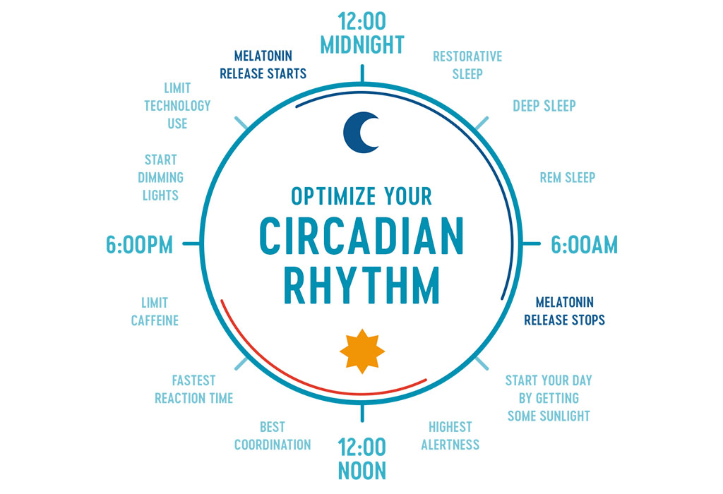 Circadian Rythm