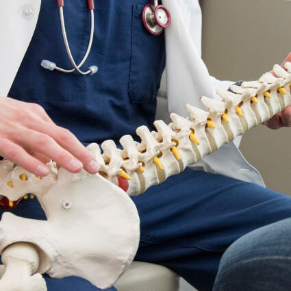 doctor holding a spine model