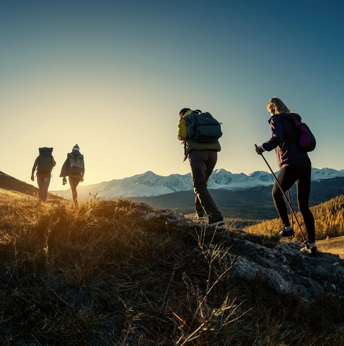Group of hikers out in nature