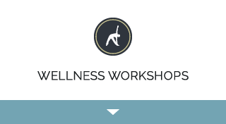 Wellness Workshops