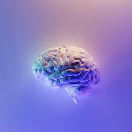 Brain