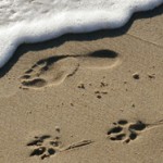 footprints in the sand