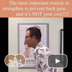 Discover the Most Important Muscles to Strengthen to Prevent Low Back Pain...and it's NOT Your Core! 