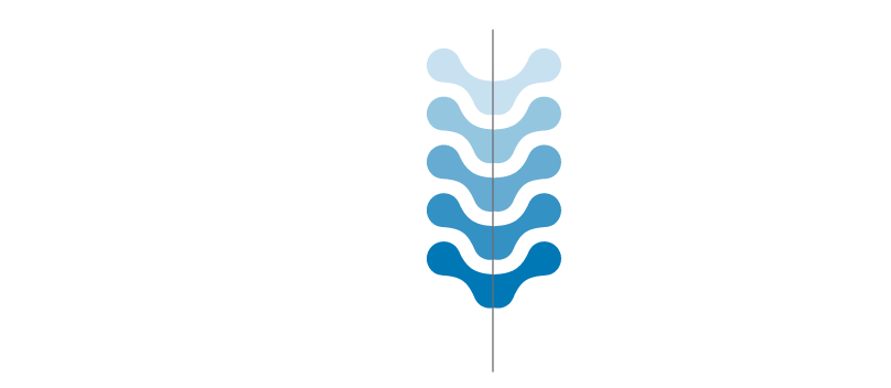 Nafziger Family Chiropractic logo - Home