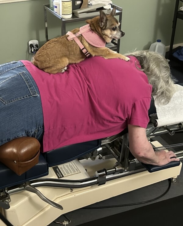Gracie sitting on a patient's back during an adjustment