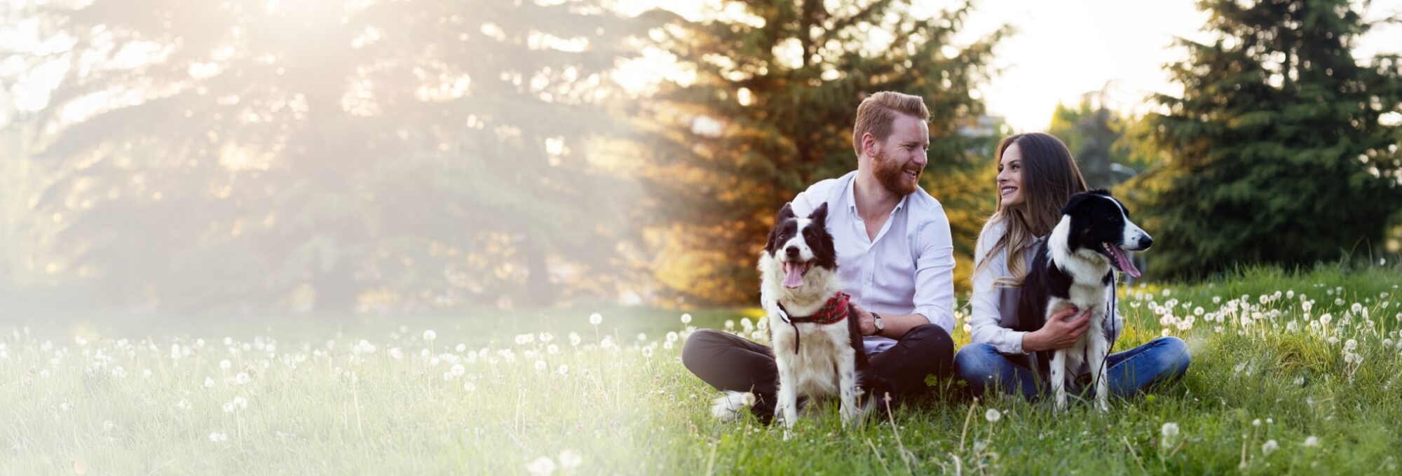 Man & woman with 2 dogs smiling