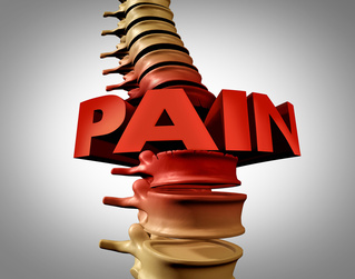 Oceanside,NY Chiropractor Spinal Disc
