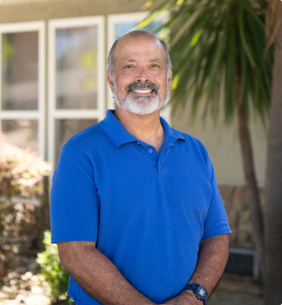 Portillo Chiropractic, Digestive health wellness