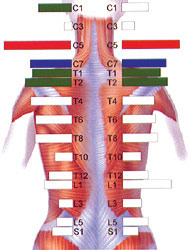 EMG Scan