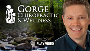 The Back Doctors Wellness Clinic