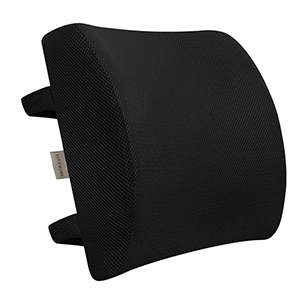 Posture Corrector