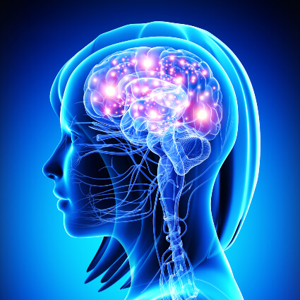 Illustration of brain with activity