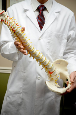 Doctor holding spine