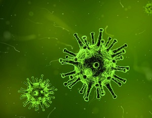 bugs-virus-image