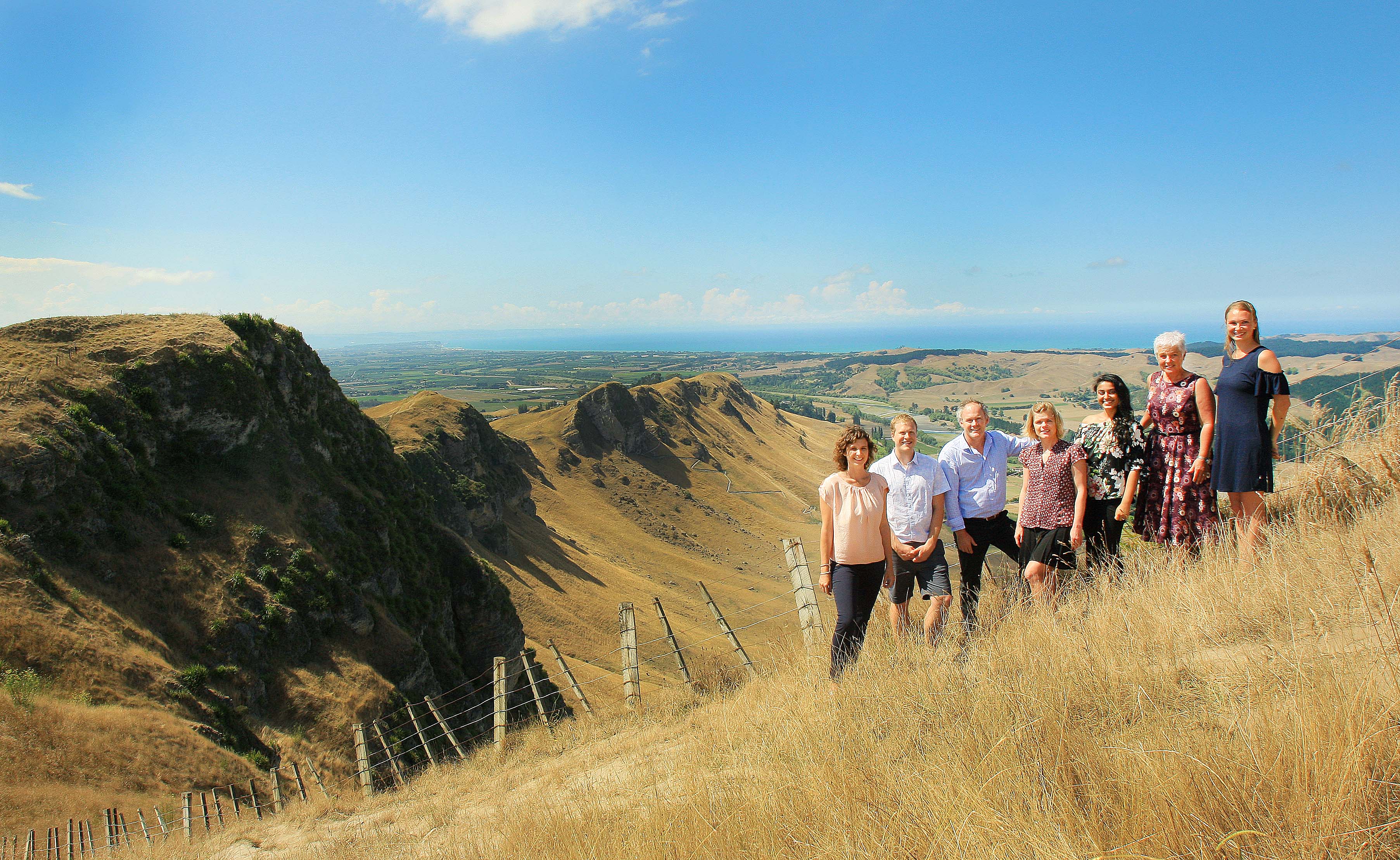 Experienced team of chiropractors available in Napier and Hastings