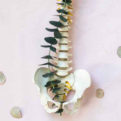 spine laying flat on a table with leaves