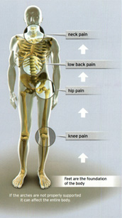 foot leveler orthotics graphic 