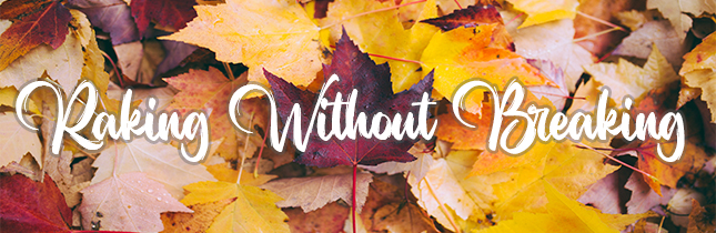 Fall leaves background with text Raking Without Breaking