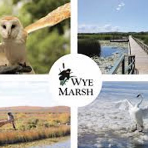 Wye marsh logo