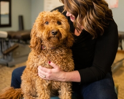 Animal chiropractor adjusting a dog