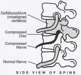 Side view of spine