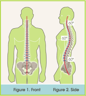 Spine image