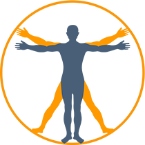 Amsterdam Chiropractic logo