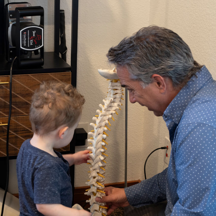 Holding spine model