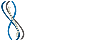 Weber Chiropractic logo - Home