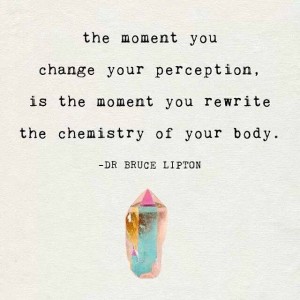 Bruce Lipton, The moment you change