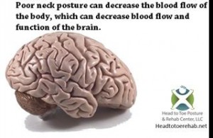 Posture and brain