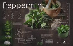 Peppermint Info