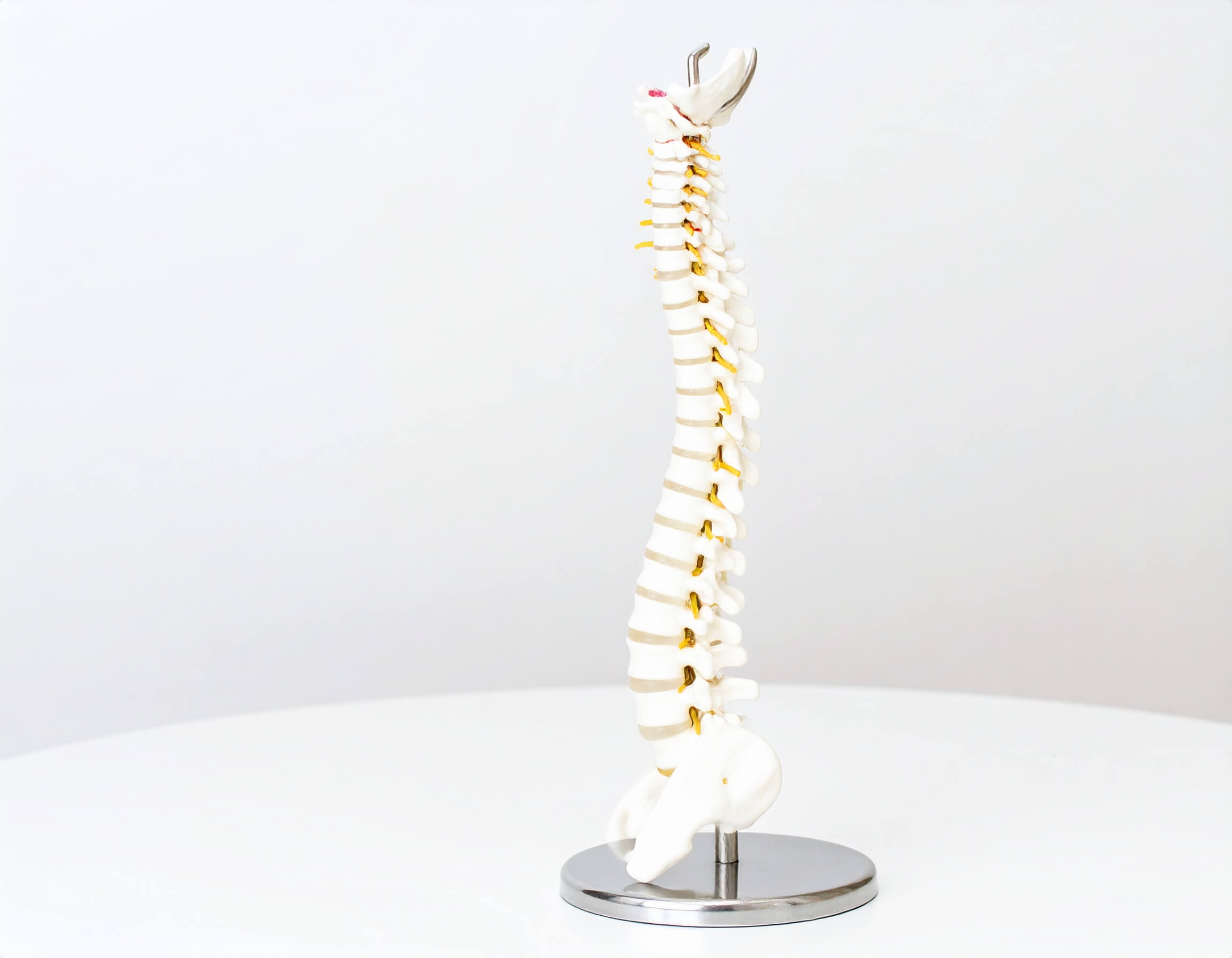 Proud to support the Scottland College of Chiropractic